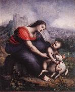 Cesare da Sesto Madonna and Child with the Lamb of God Sweden oil painting artist